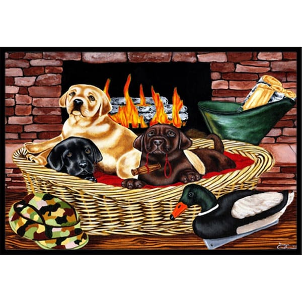 Carolines Treasures The Next Generation Labrador Indoor or Outdoor Mat- 24 x 36 AMB1362JMAT - main